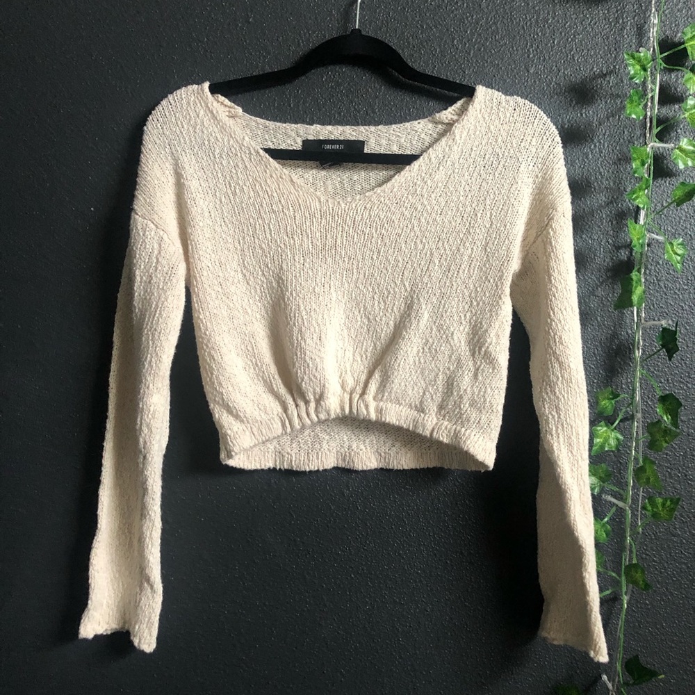 Forever 21 Cropped Sweater